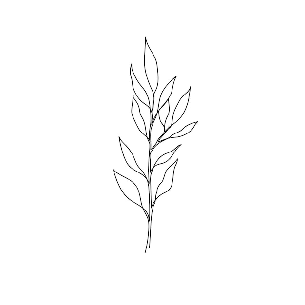 Contorno de la hoja de eucalipto una hoja de planta decorativa de arte de línea continua elemento floral de follaje de eucalipto de trazo editable ilustración vectorial aislada