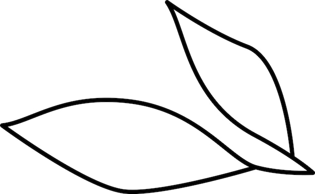 Contorno de hojas de flores