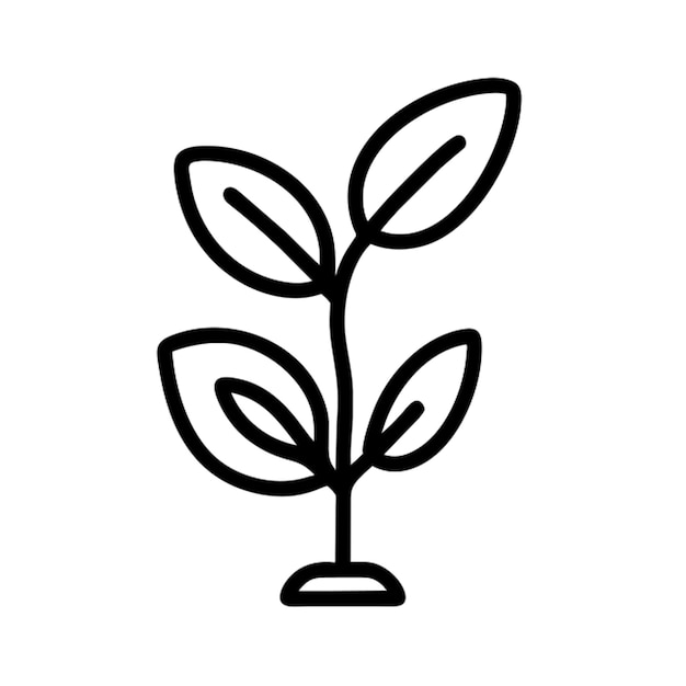 Contorno del icono del complejo herbal