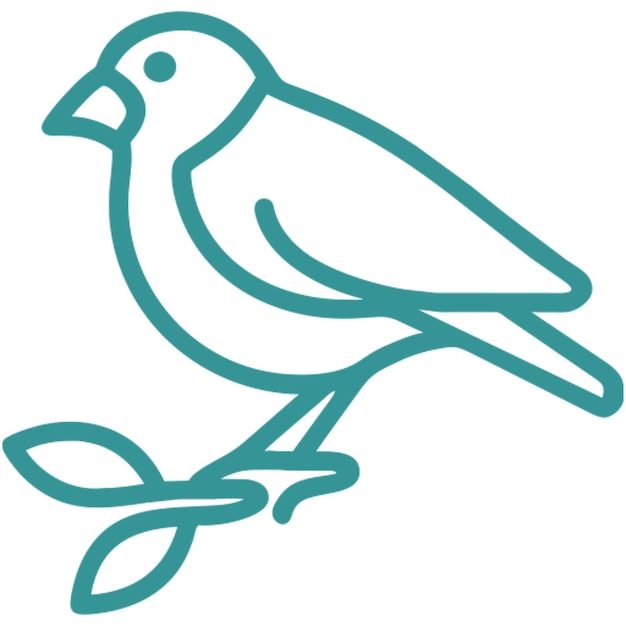 el contorno del icono de los pájaros y gorriones