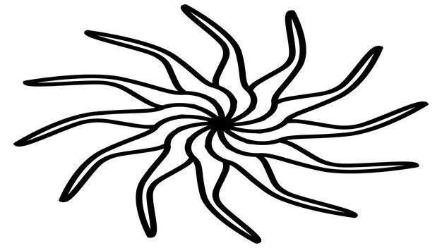 Contorno isométrico de forma de sol o flor aislado en blanco Forma circular con pétalos Clipart vectorial