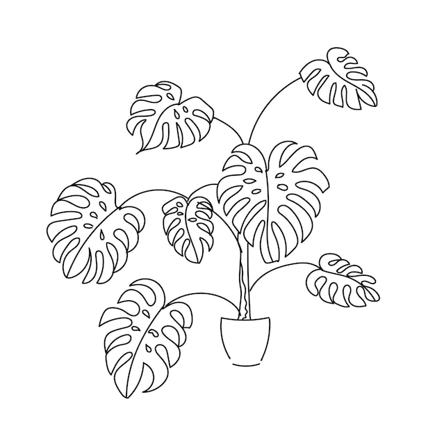 Vector contorno de línea de mano de planta de monstera de ilustración vectorial