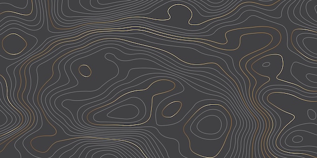 Contorno de mapa topográfico ondulado dorado Mapa topográfico y cuadrícula de textura del terreno del paisaje