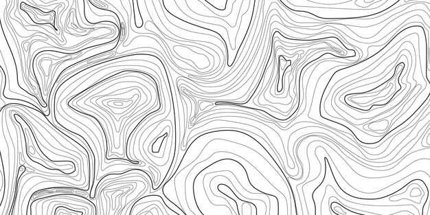 Contorno negro y curva línea topográfica ondulada mapa de contorno y fondo blanco