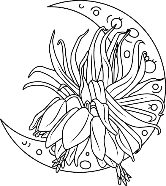 Contorno negro dibujado a mano Luna creciente con ilustración de flor Grose. Imágenes Prediseñadas de Vector de astrología