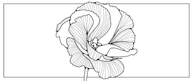 Contorno negro de una flor exuberante hecha a mano sobre un fondo blanco