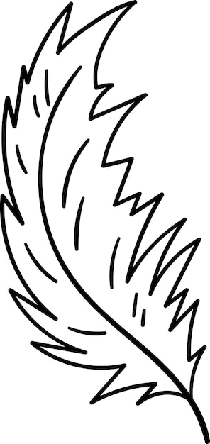 Contorno del pájaro de las plumas