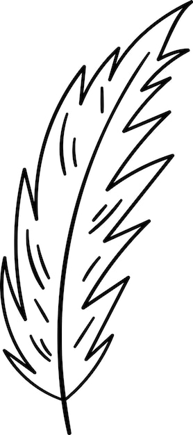 Contorno del pájaro de las plumas