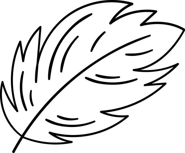 Contorno del pájaro de las plumas