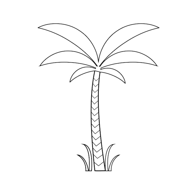 Contorno de palmera