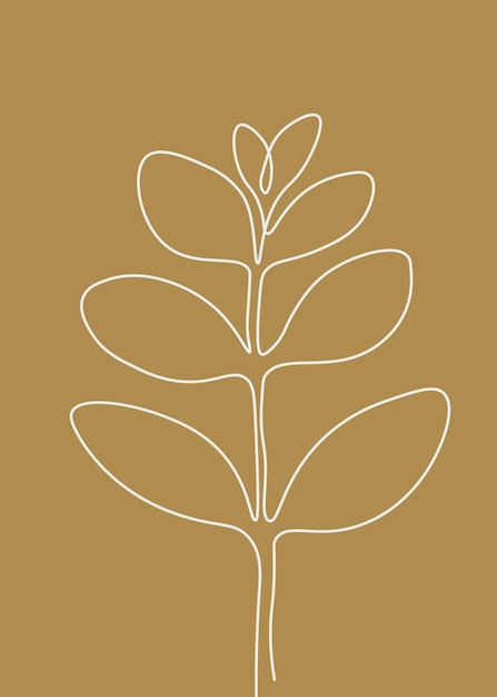 Contorno de la planta floral