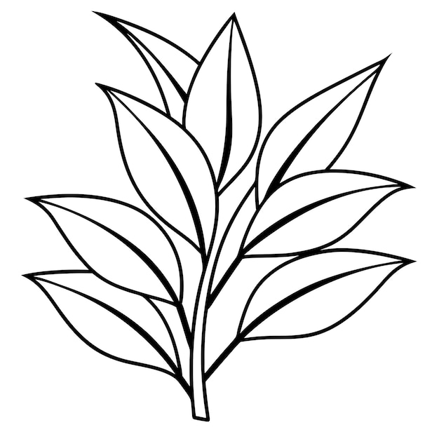 Contorno de la planta libro de colorear página de arte de línea ilustración dibujo digital