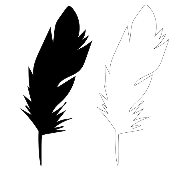 contorno de plumas de ave