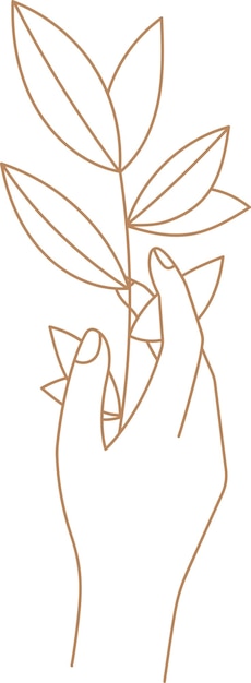 Contorno de la rama floral con la mano