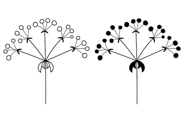 El contorno de la silueta de las inflorescencias florales en plantas en el tallo Vector aislado