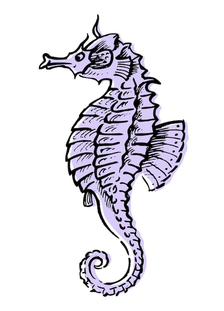 Contorno vectorial de una ilustración dibujada a mano de un caballo de mar aislado en blanco.