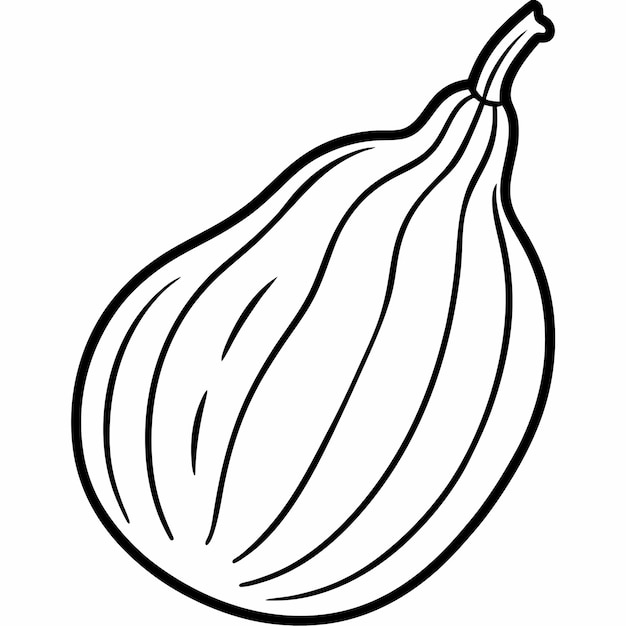 Contorno vectorial de la línea de la calabaza amarga
