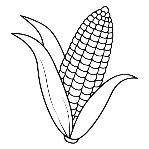 Contorno vectorial de la línea de maíz