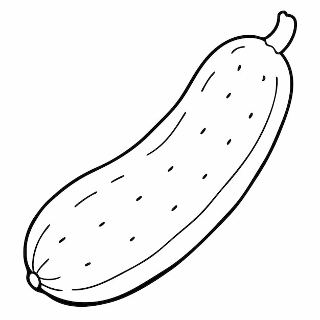 Contorno vectorial de la línea de pepino