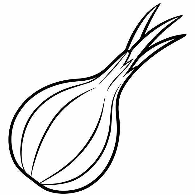 Contorno vectorial de la línea de Scallion