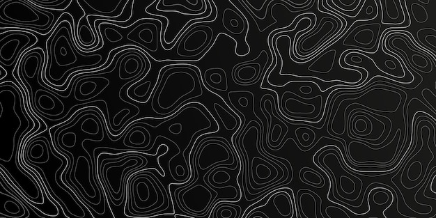 Los contornos abstractos crean una representación visual dinámica del paisaje topográfico en tonos blanco y negro