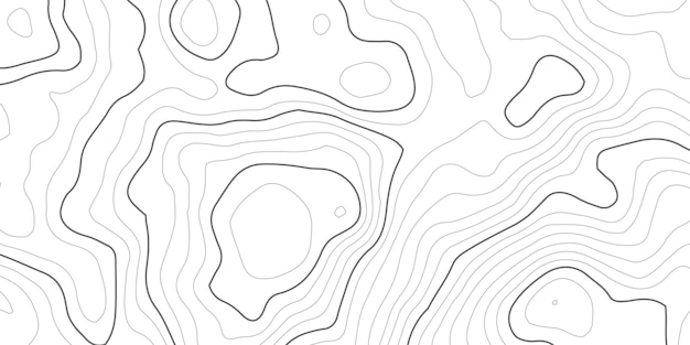 Los contornos topográficos el fondo del mapa el papel blanco los relieves curvos el fondo el paisaje de la topografía