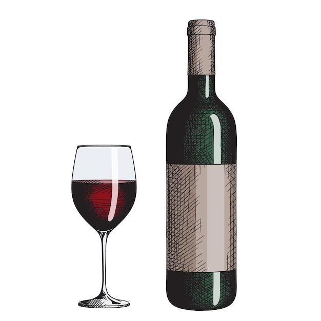 Una copa de vino tinto y una botella con una etiqueta Ilustración de color dibujada a mano vectorial