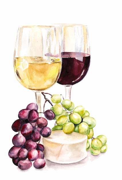 Vector copa de vino uva queso azul cena comida acuarela comida ilustración en blanco italia