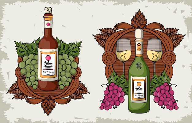 Copas de vino y botellas con uvas frutas diseño ilustración vectorial