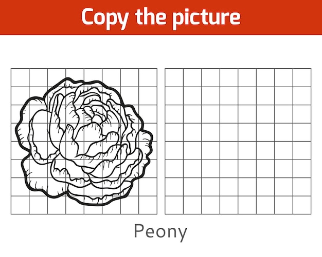 Copia la imagen, juego educativo para niños, peony