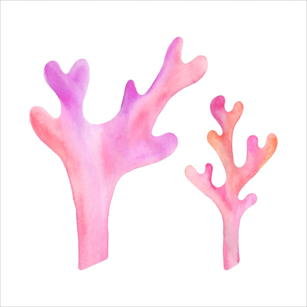 Coral de acuarela rosa colorido aislado en un fondo blanco Ilustración dibujada a mano