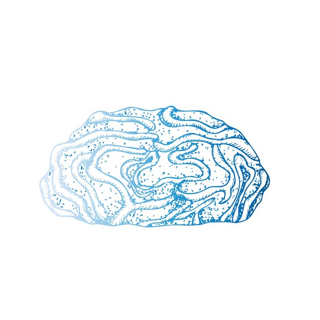 Coral azul vectorial Esbozo de arrecife de línea pintado a mano Arte gráfico tropical aislado en el fondo Und