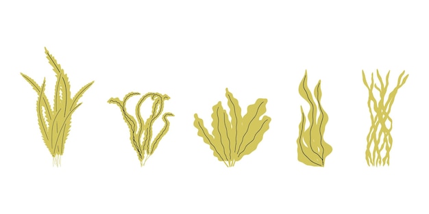Coral Planta submarina Ilustración vectorial en estilo escandinavo Algas marinas