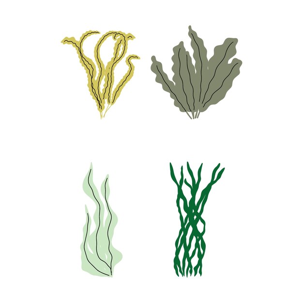 Coral Planta submarina Ilustración vectorial en estilo escandinavo Algas marinas