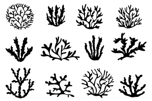 Corales marinos y silueta negra de algas.