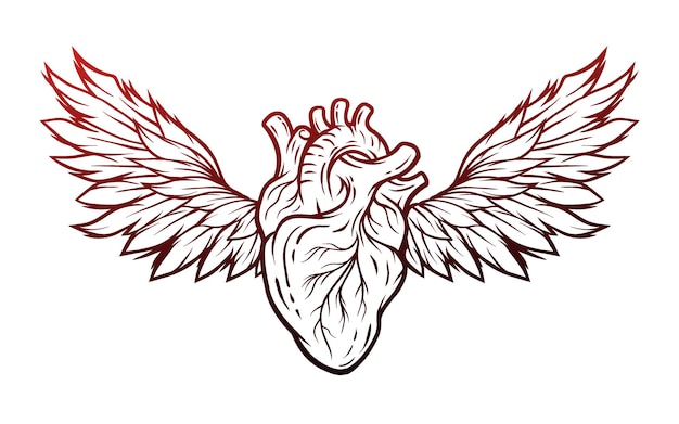 Corazón anatómico con alas Símbolo de signo Estilo de arte lineal