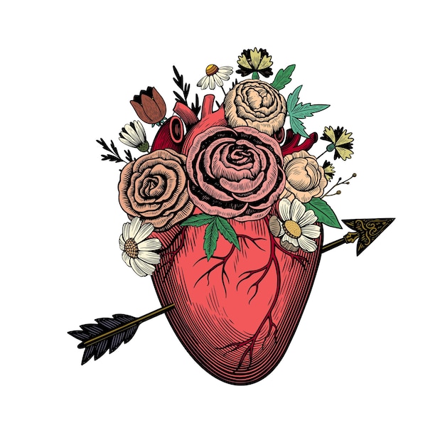 Corazón atravesado por una flecha Corazón roto con flores Ilustración en grabado de estilo vintage