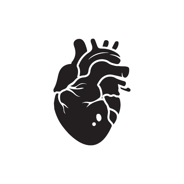 Corazón humano anatómicamente correcto arte de líneas dibujadas a mano y dotwork diseño de tatuaje o impresión flash