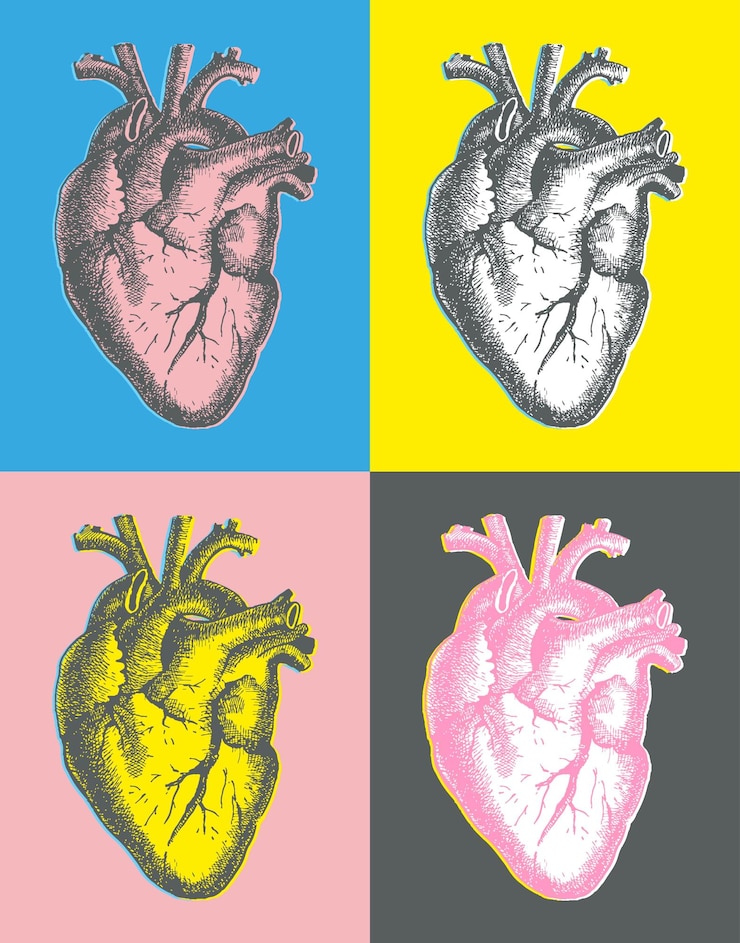 Vector corazón humano anatómico de arte de línea dibujada a mano