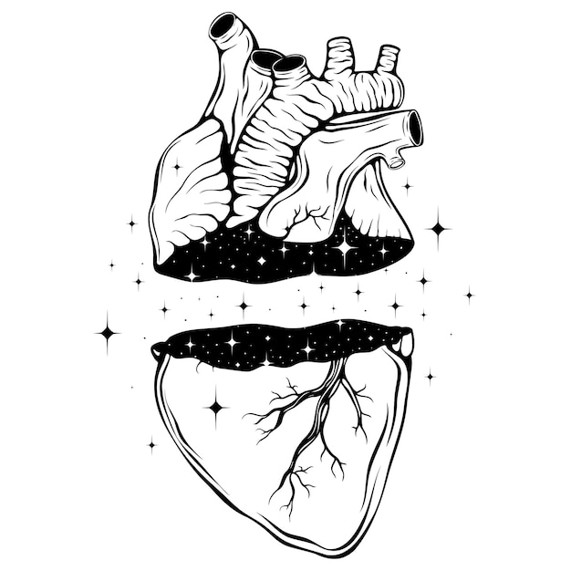 Corazón humano realista con estrellas en el espacevector Enfermedades del corazón problemas de salud ataque al corazón amor
