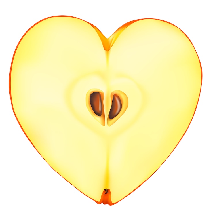 Vector corazón de manzana