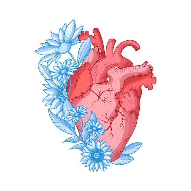 Vector corazón