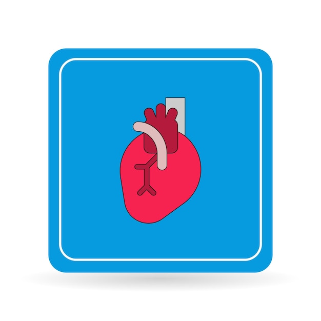 el corazón