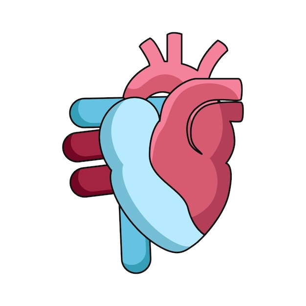 Corazón