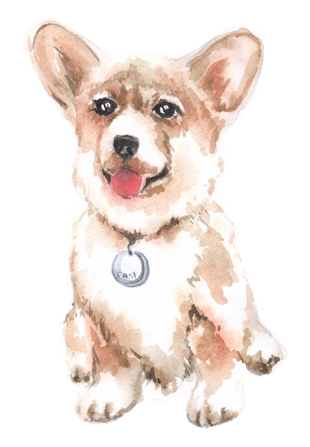 corgi acuarela