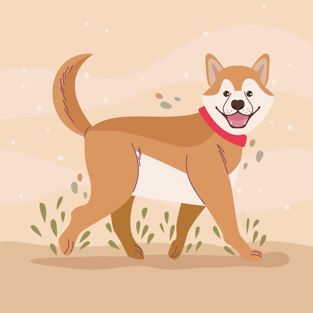 Vector corgi mascota caminando