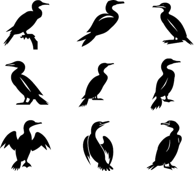 Cormorán silueta vectorial Ilustración 4