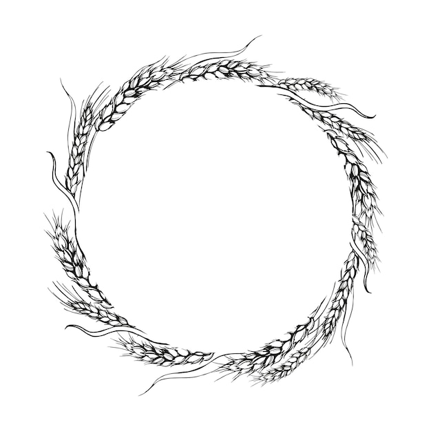 coroa vectorial de orejas de trigo ilustración dibujada a mano con ramas de trigo tema de agricultura boceto en blanco y negro del tema de la cosecha aislado en fondo blanco