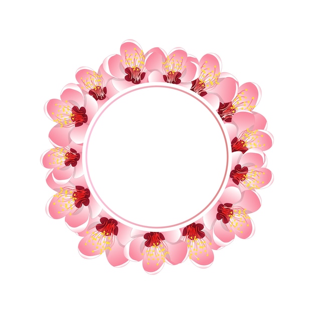 Corona de flores de flor de Melocotón de Momo