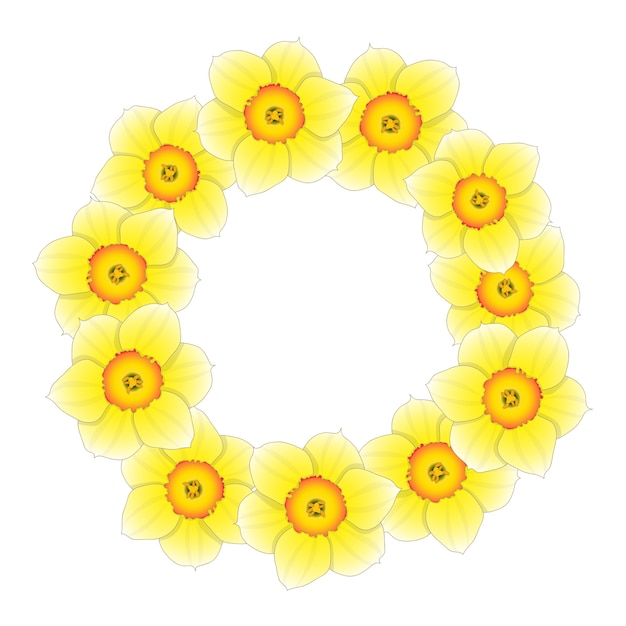 Vector corona de flores de narciso